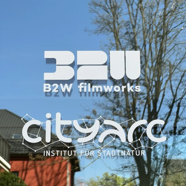 city-arc-neues-buero-1.2048