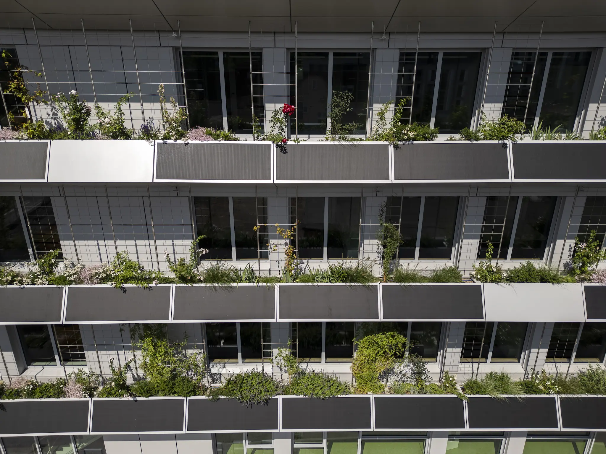 green-building-be-0943.2048